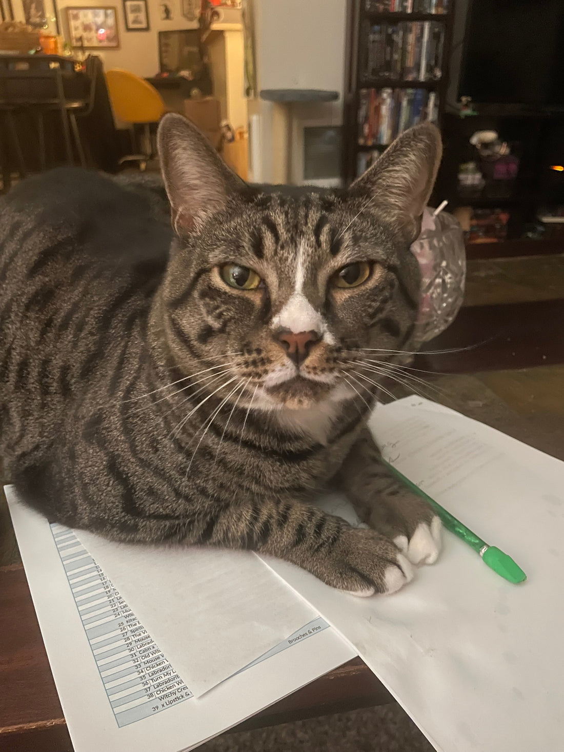 The Assistant Manager Reviews the Books