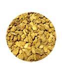 Devil's Claw Root – Cut (1 oz) – Thorn & Thimble