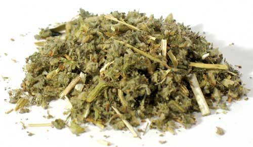 Horehound – Cut (1 oz) – Thorn & Thimble