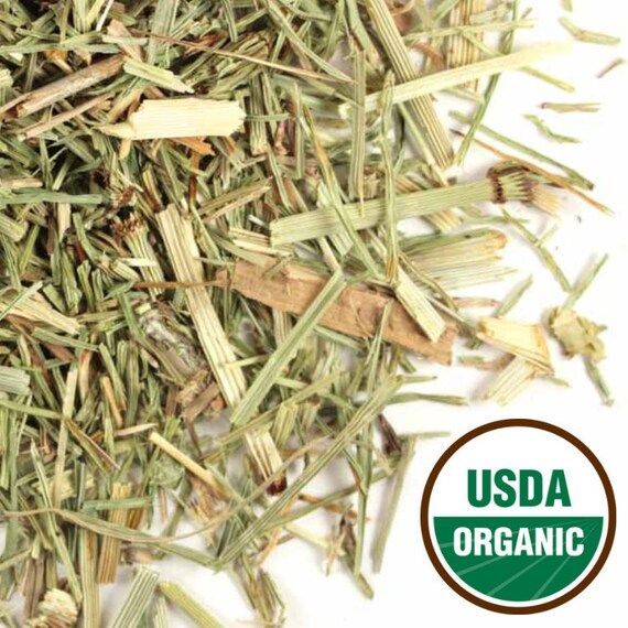 Horsetail / Shavegrass – Cut (1 oz) – Thorn & Thimble