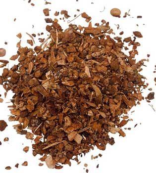 Cramp Bark – Cut (1 oz) – Thorn & Thimble