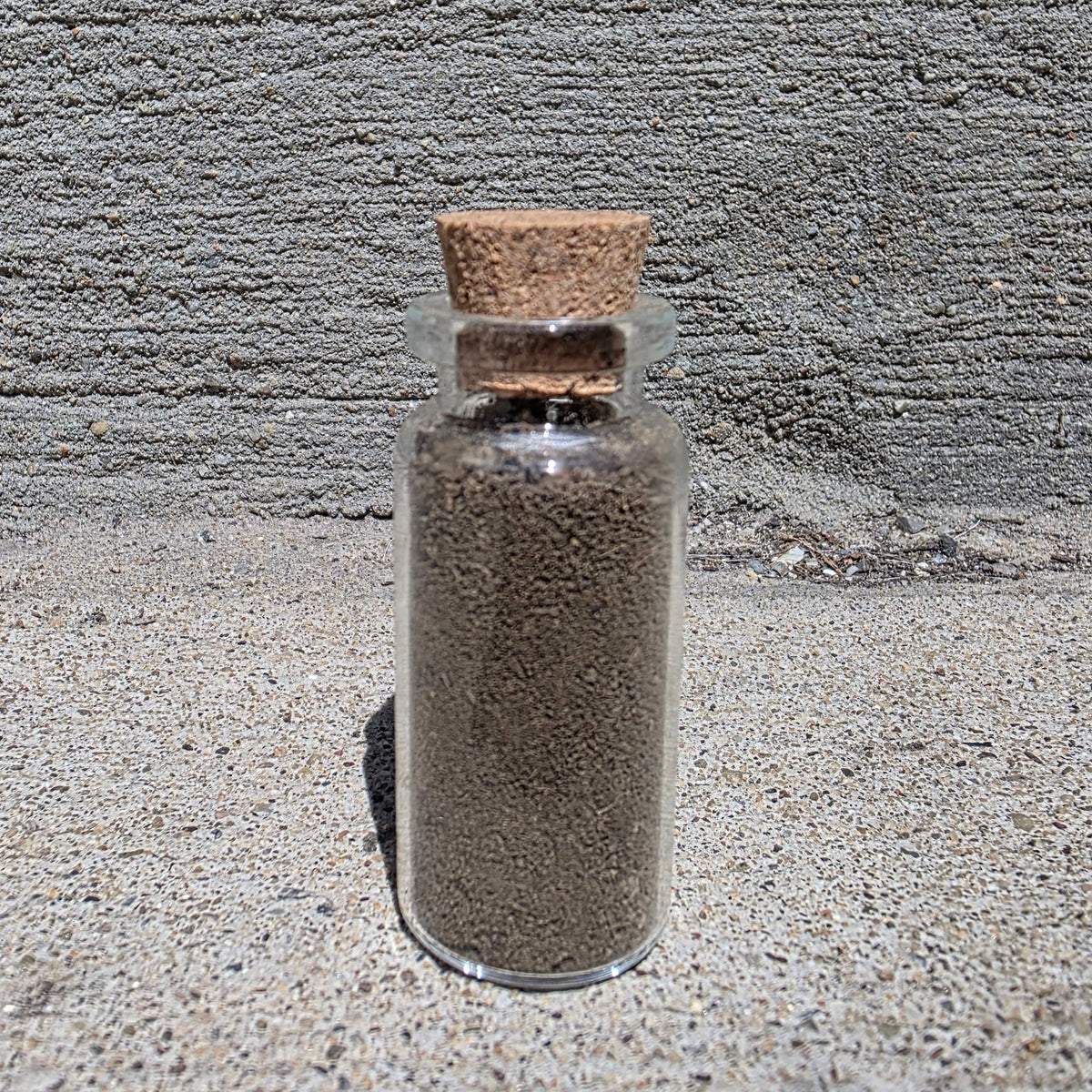 Brushwood Murder Graveyard Dirt Curio Vial – Thorn & Thimble