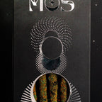 Cosmos Incense Collection – Thorn & Thimble