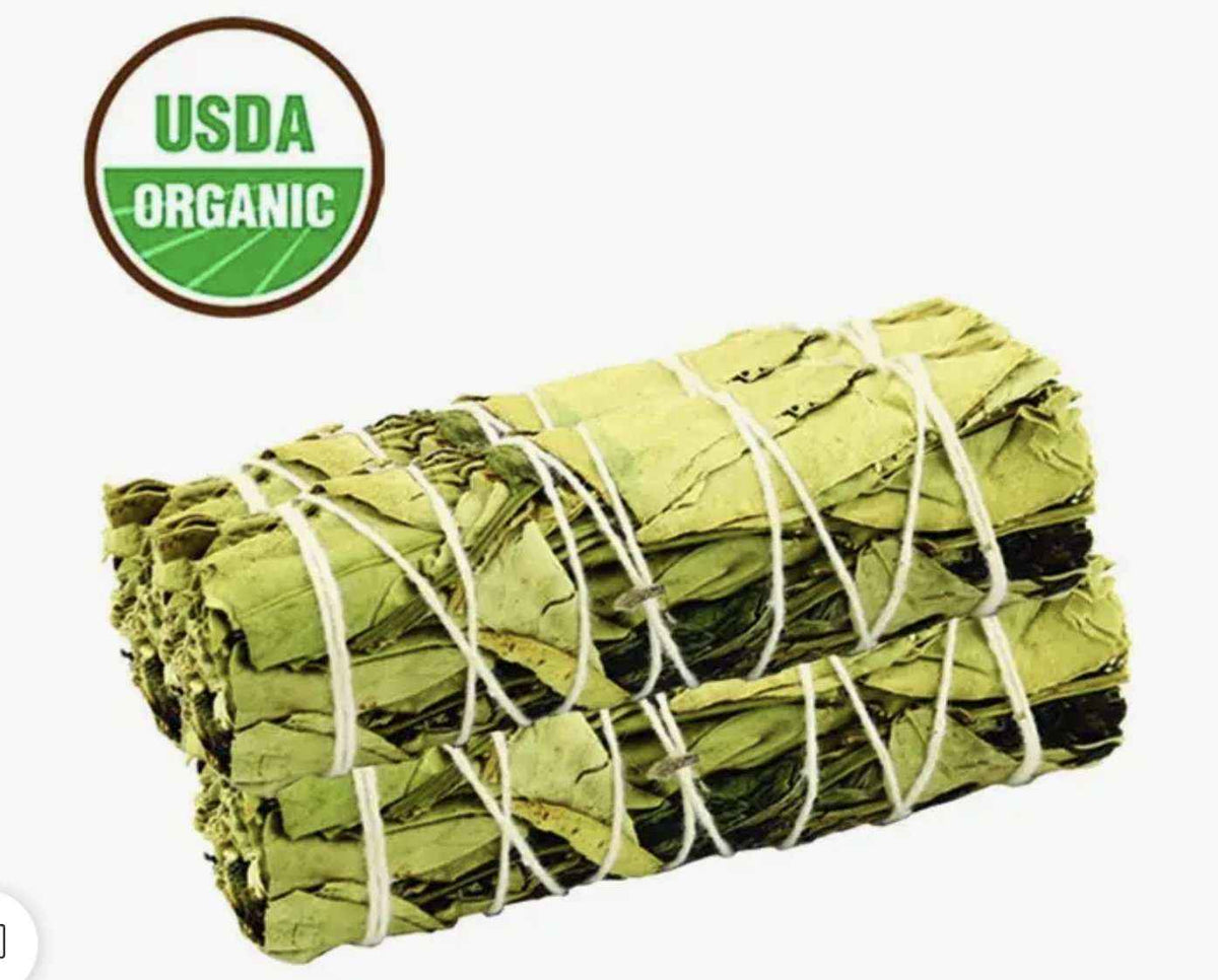 Lemon Balm Peppermint Smudge Stick (4 in.) – Thorn & Thimble