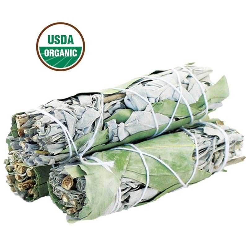 White Sage & Eucalyptus Smudge Stick (4 in.) – Thorn & Thimble