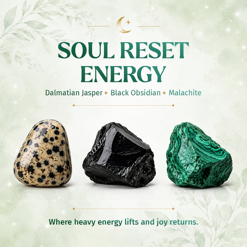 Soul Reset: Dalmatian Jasper Bracelet