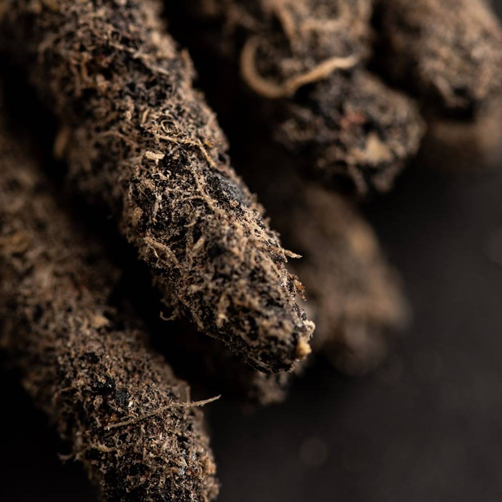 Cosmos Incense Collection – Thorn & Thimble
