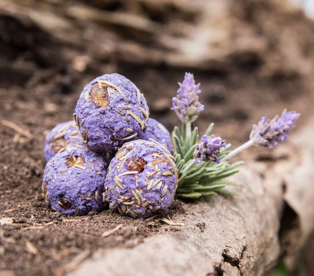 Lavender Relaxation Herbal Gift Box – Thorn & Thimble