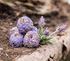 Lavender Relaxation Herbal Gift Box – Thorn & Thimble