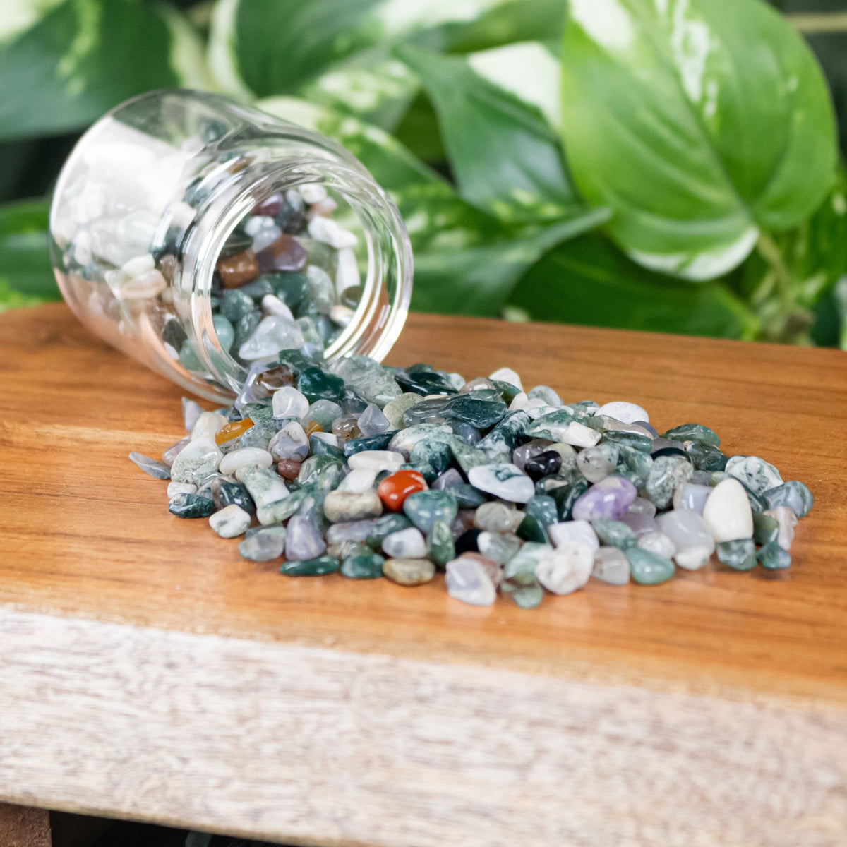 Green Moss Agate Crystal Chips – 1 lb – Thorn & Thimble