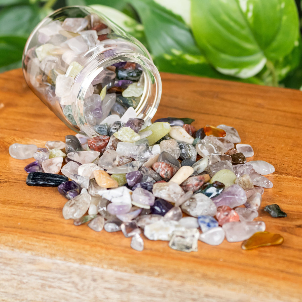Mixed Crystal Chips – 1 lb – Thorn & Thimble