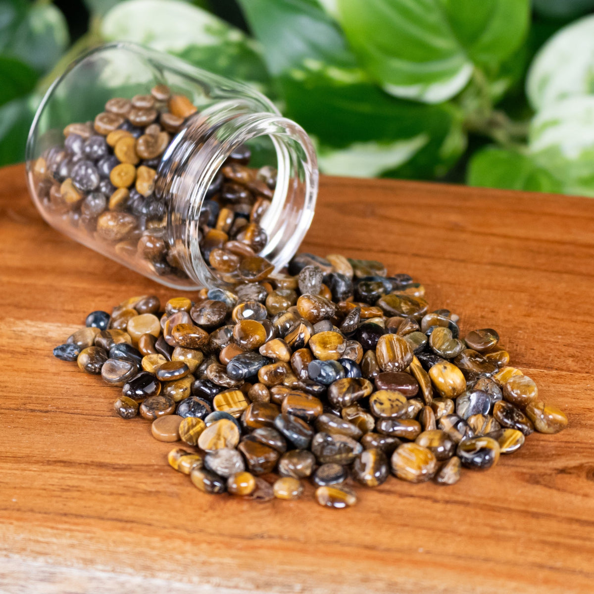 Tiger's Eye Crystal Chips – 1 lb – Thorn & Thimble