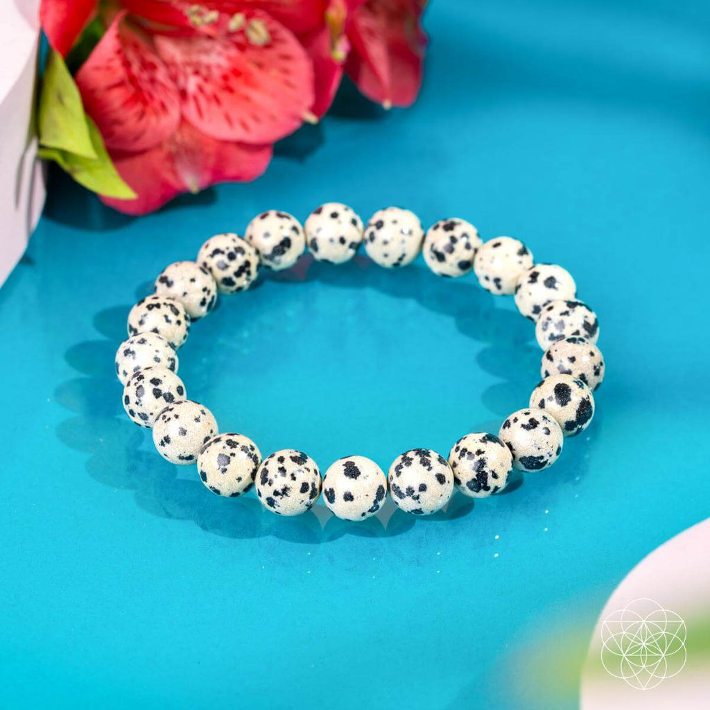 Dalmatian Jasper Joy & Grounding Bracelet