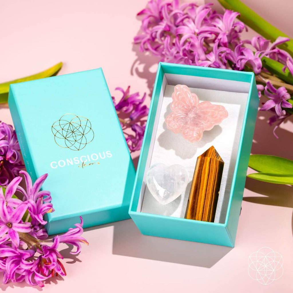 Butterfly Crystal Car Kit