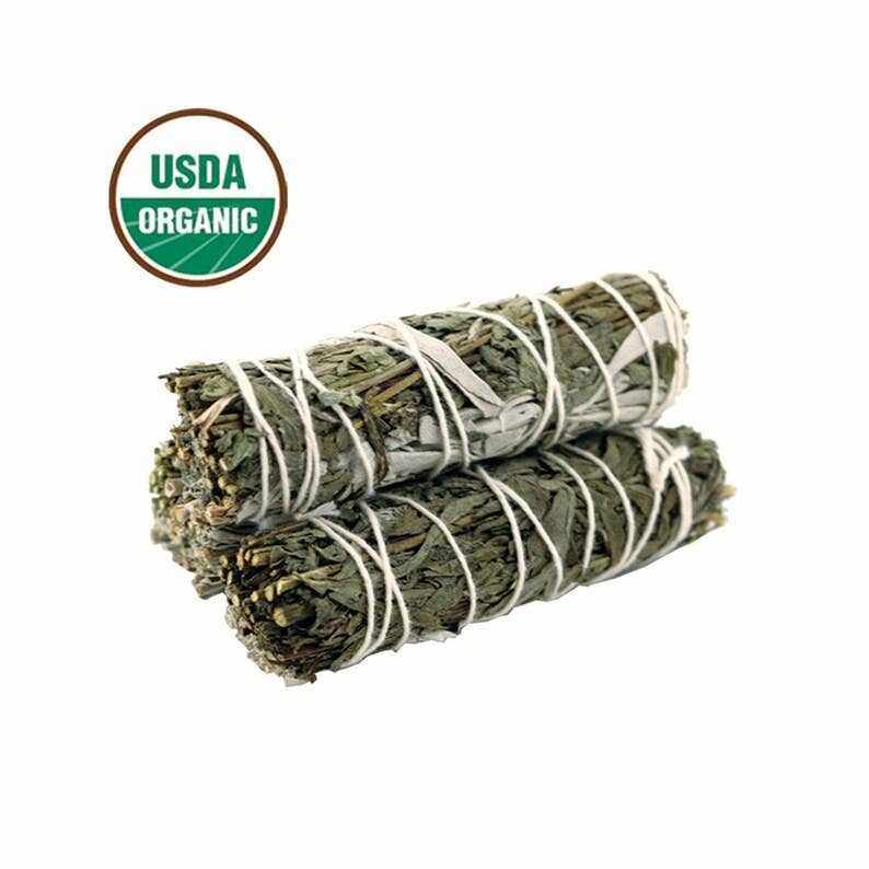 Mugwort and White Sage Organic Smudge Stick (4 in.) – Thorn & Thimble