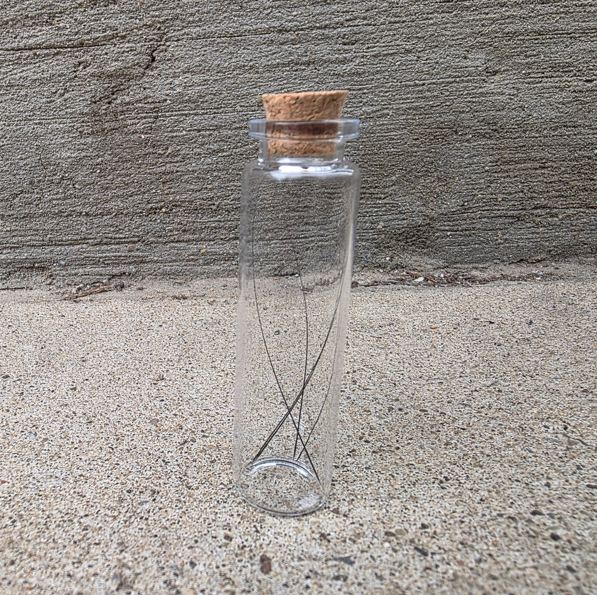 Black Cat Whiskers Curio Vial – Thorn & Thimble