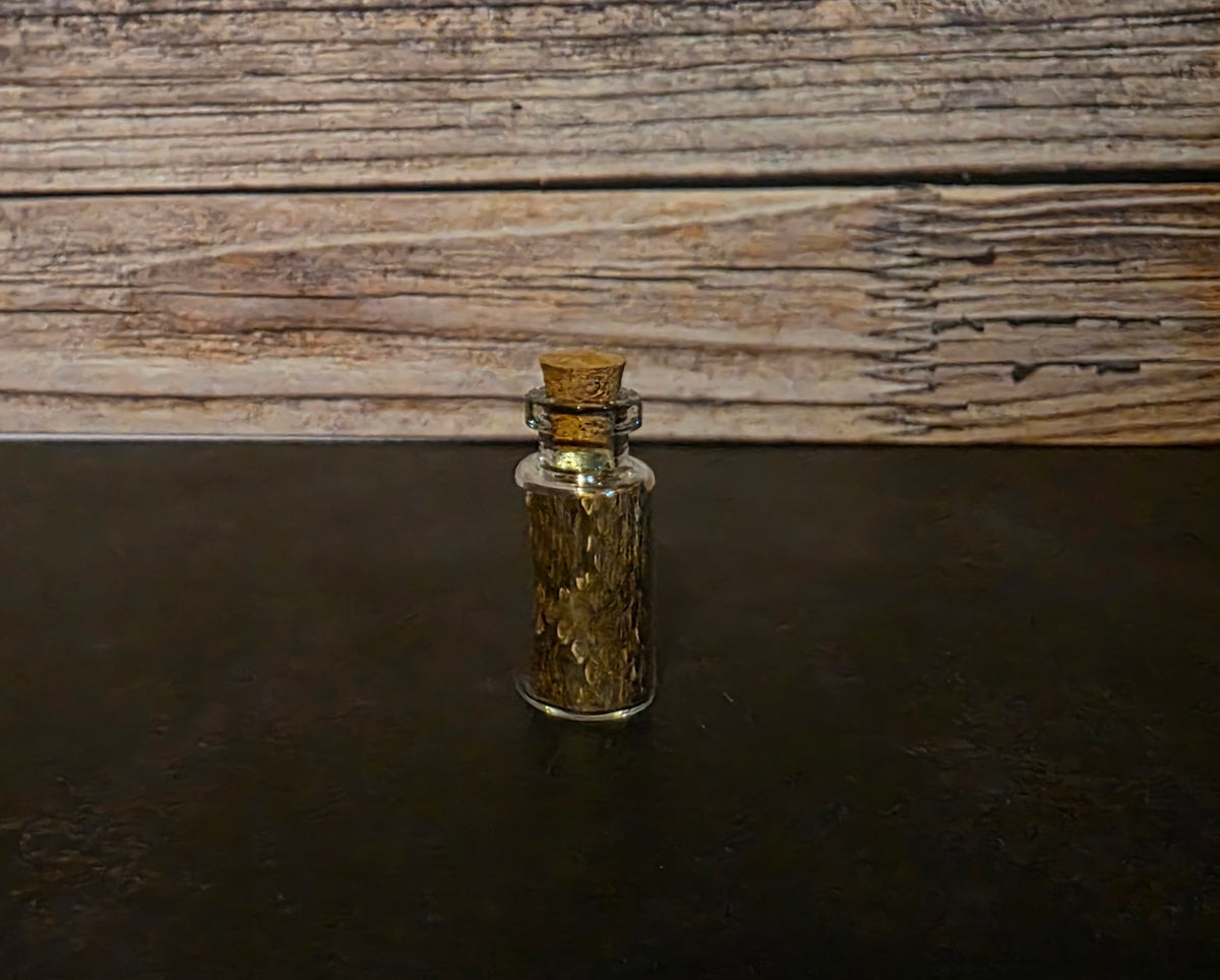 Prairie Rattlesnake Skin Curio Vial – Thorn & Thimble