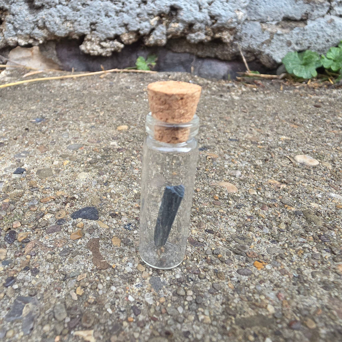 Vivianite “Corpse Crystal” Curio Vial – Thorn & Thimble