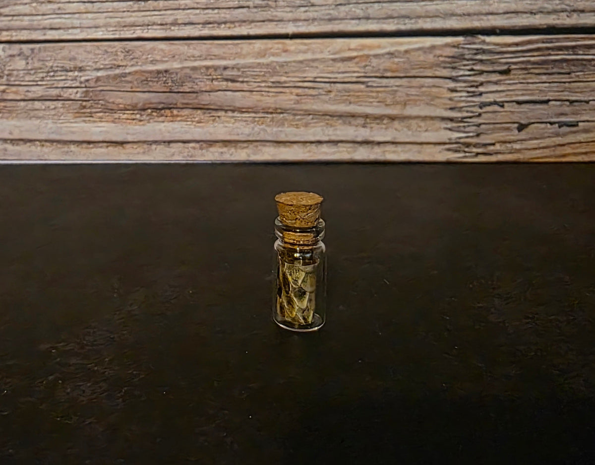 Prairie Rattlesnake Skin Curio Vial – Thorn & Thimble