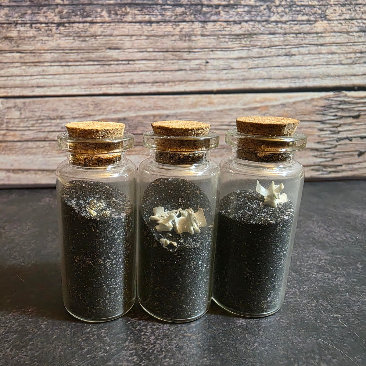 Gravedigger’s Fidget Bone Curio Vial – Thorn & Thimble