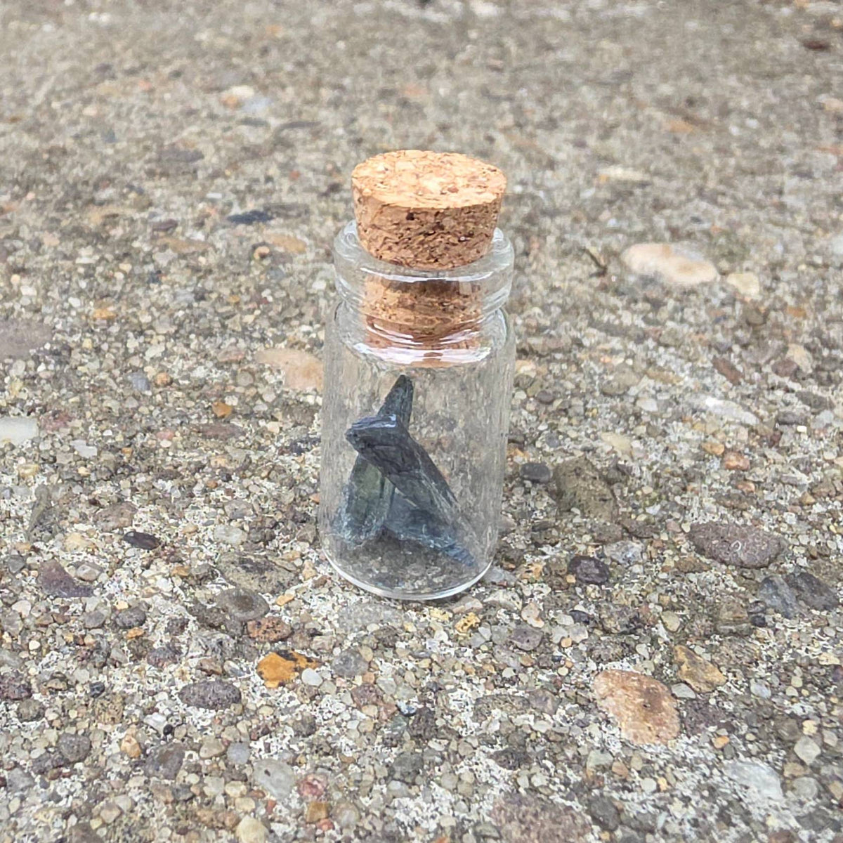 Vivianite “Corpse Crystal” Curio Vial – Thorn & Thimble