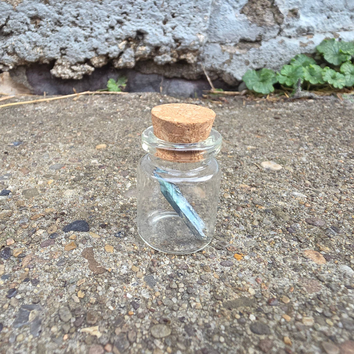 Vivianite “Corpse Crystal” Curio Vial – Thorn & Thimble