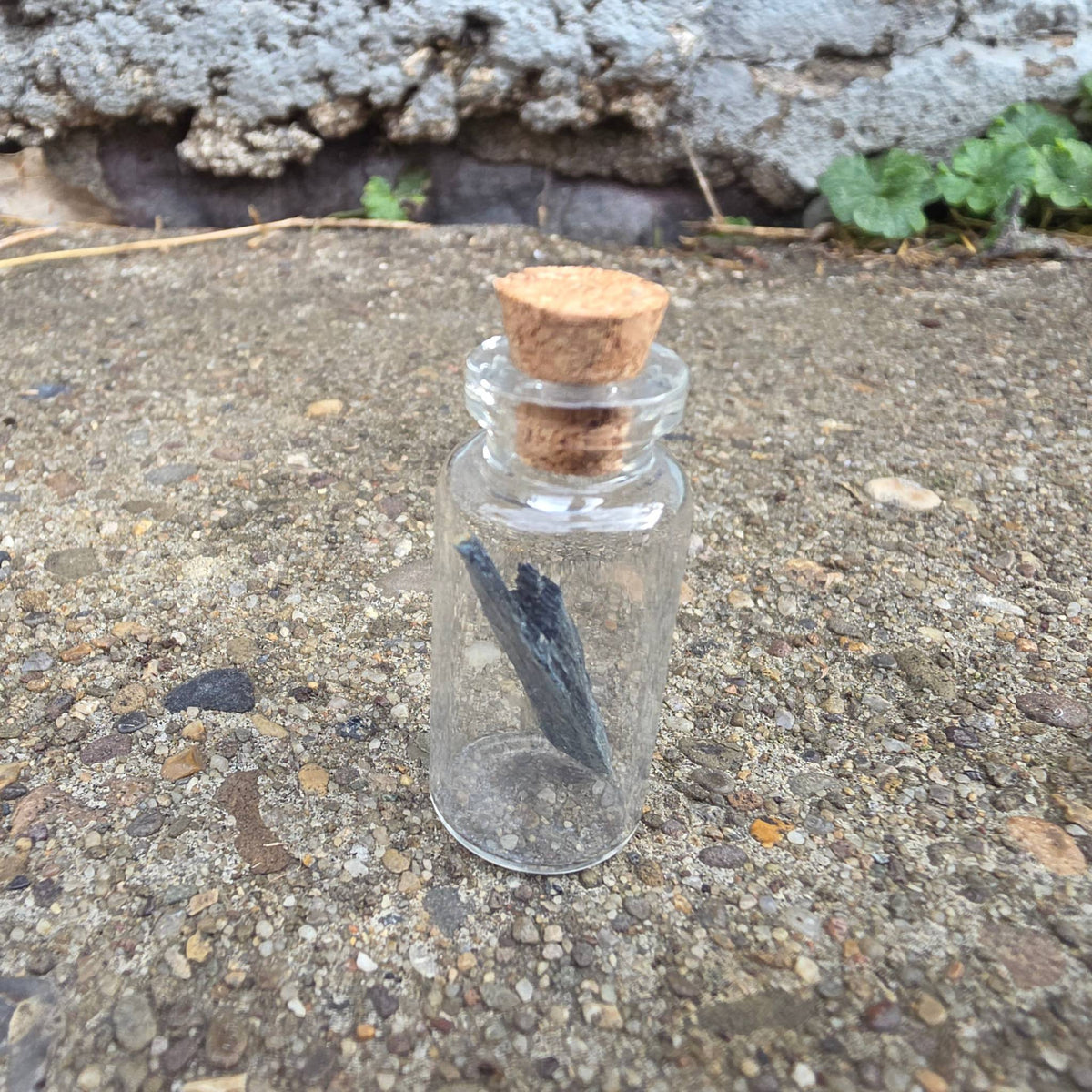 Vivianite “Corpse Crystal” Curio Vial – Thorn & Thimble