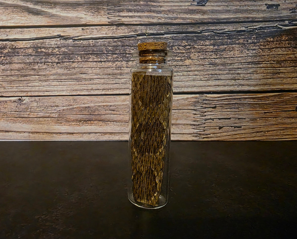Prairie Rattlesnake Skin Curio Vial – Thorn & Thimble