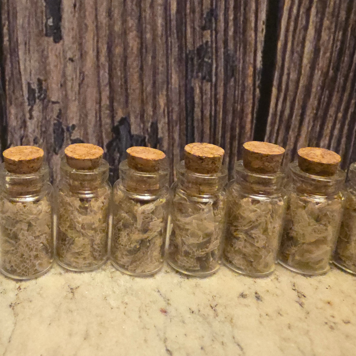 Small Snake Shed Curio Vial – Thorn & Thimble
