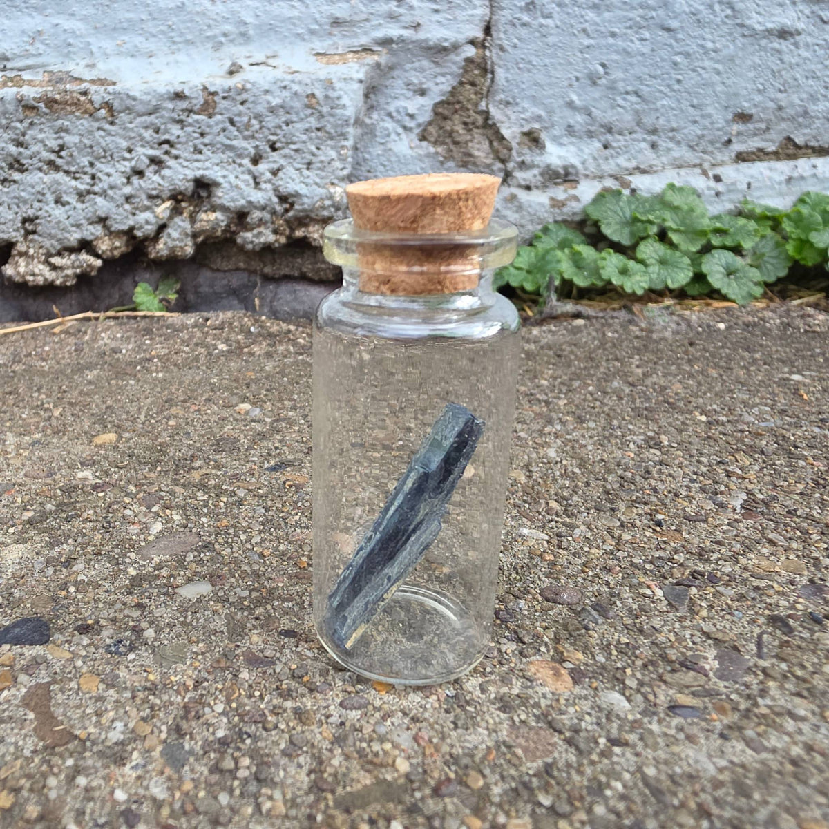 Vivianite “Corpse Crystal” Curio Vial – Thorn & Thimble