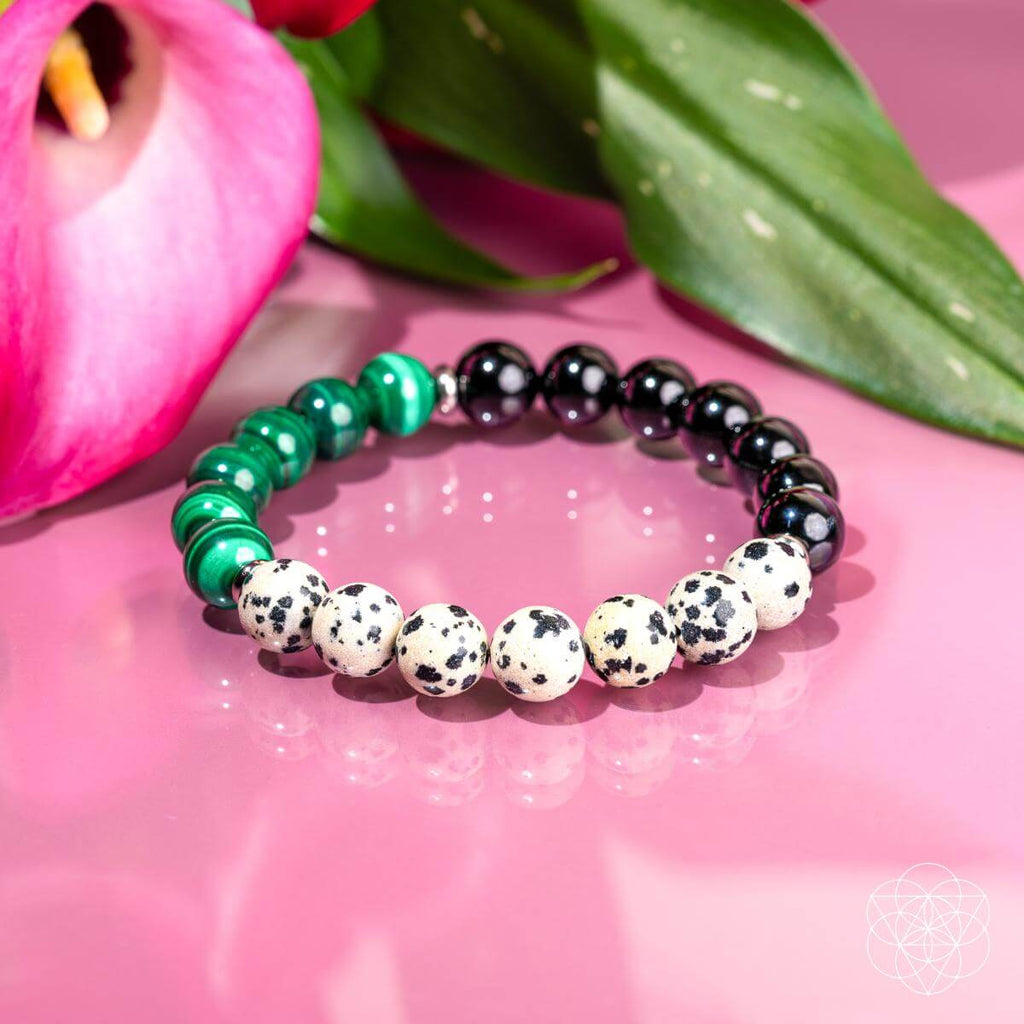 Soul Reset: Dalmatian Jasper Bracelet