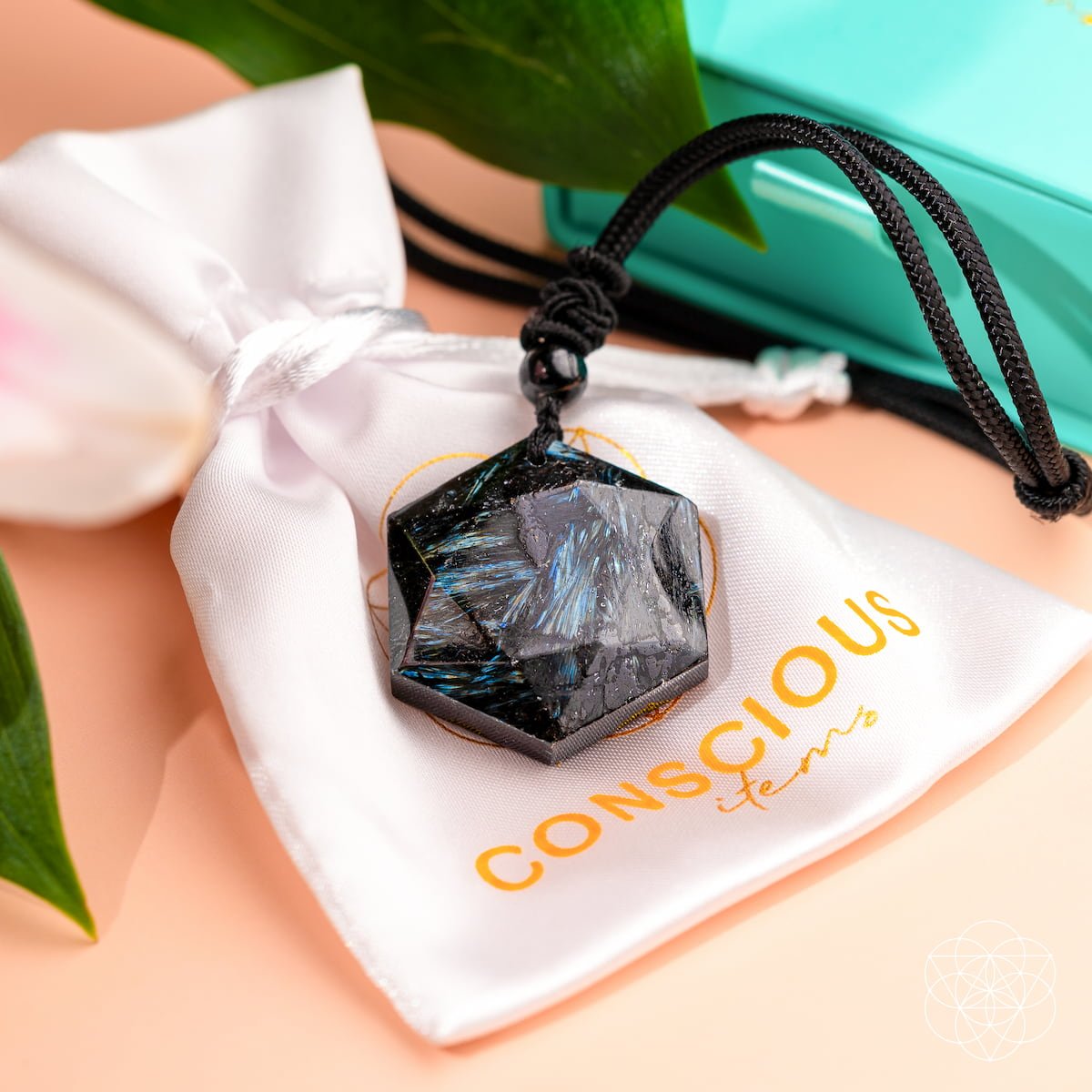 Arfvedsonite Vision Stone Pendant