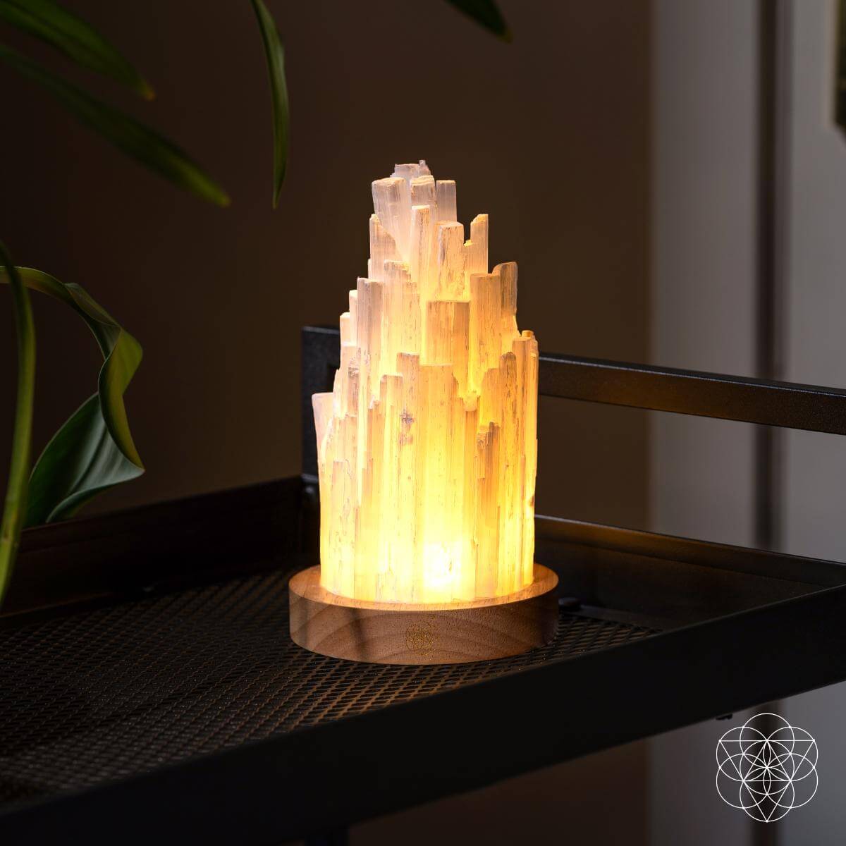 Cleanse-All Selenite Crystal Lamp