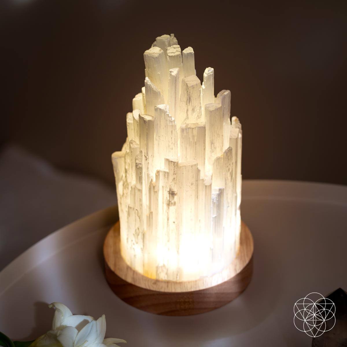 Cleanse-All Selenite Crystal Lamp